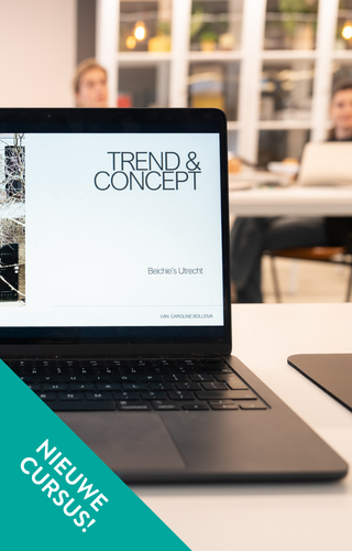 Trend & Concept XL
